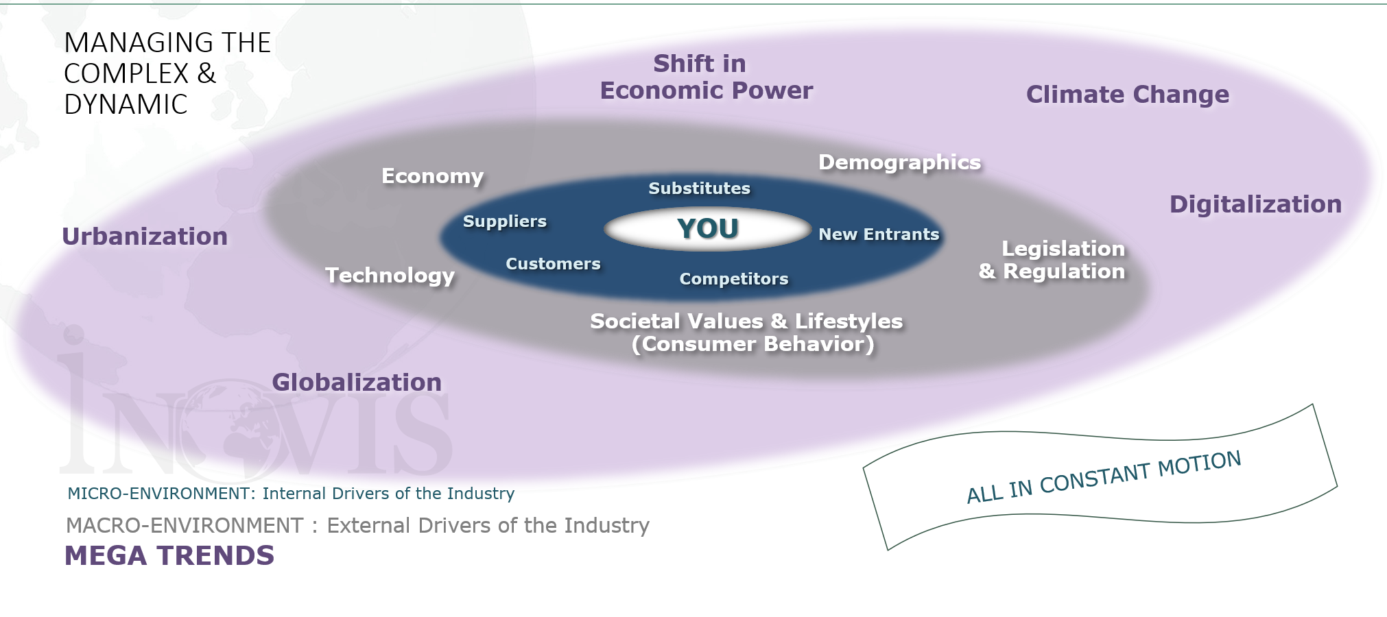 The Competitive Landscape