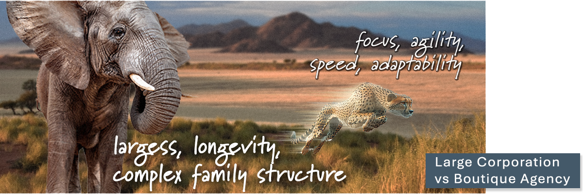 large agency vs boutique